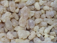 Günlük Sakızı Kullanımı ve Faydaları Nelerdir?